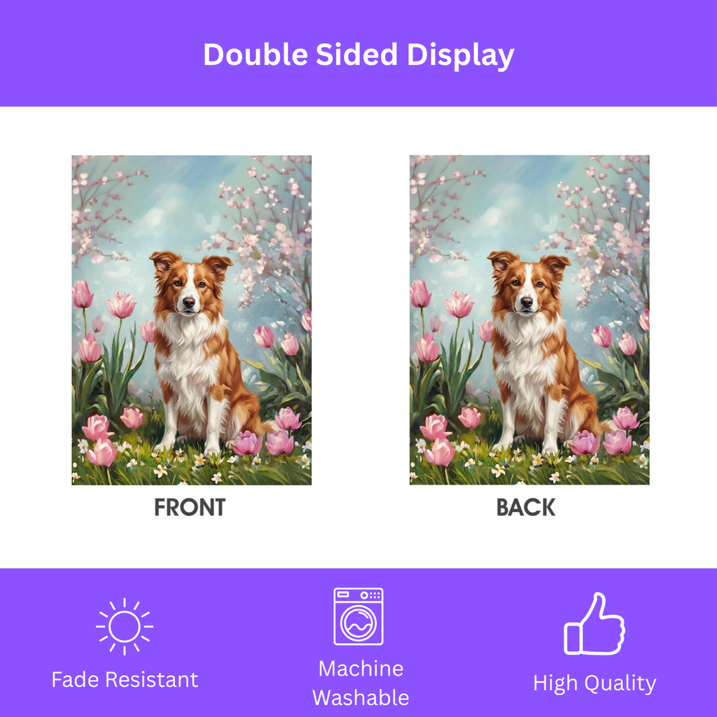 Red Border Collie in Tulips Garden Banner