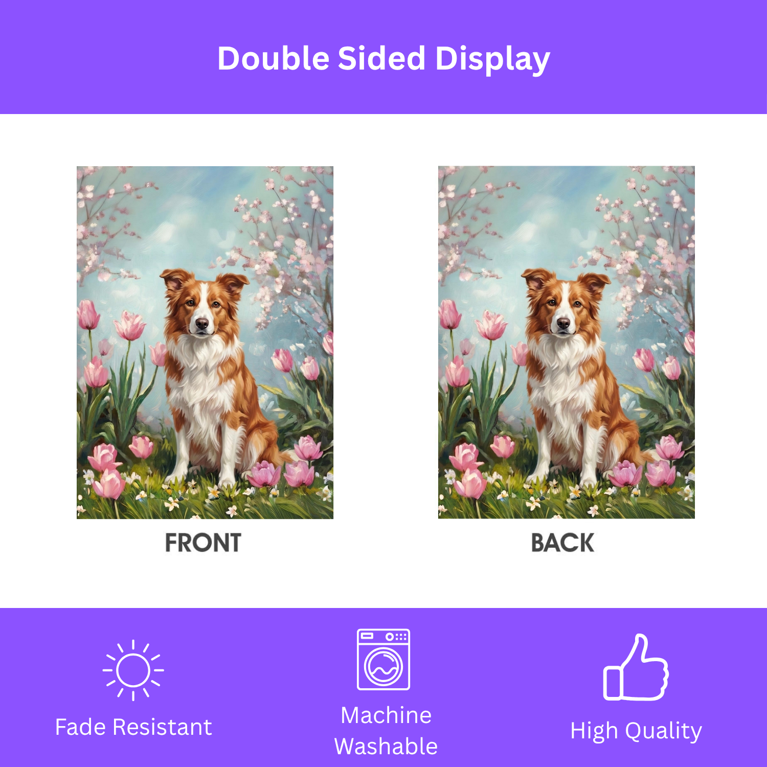 Red Border Collie in Tulips Garden Banner