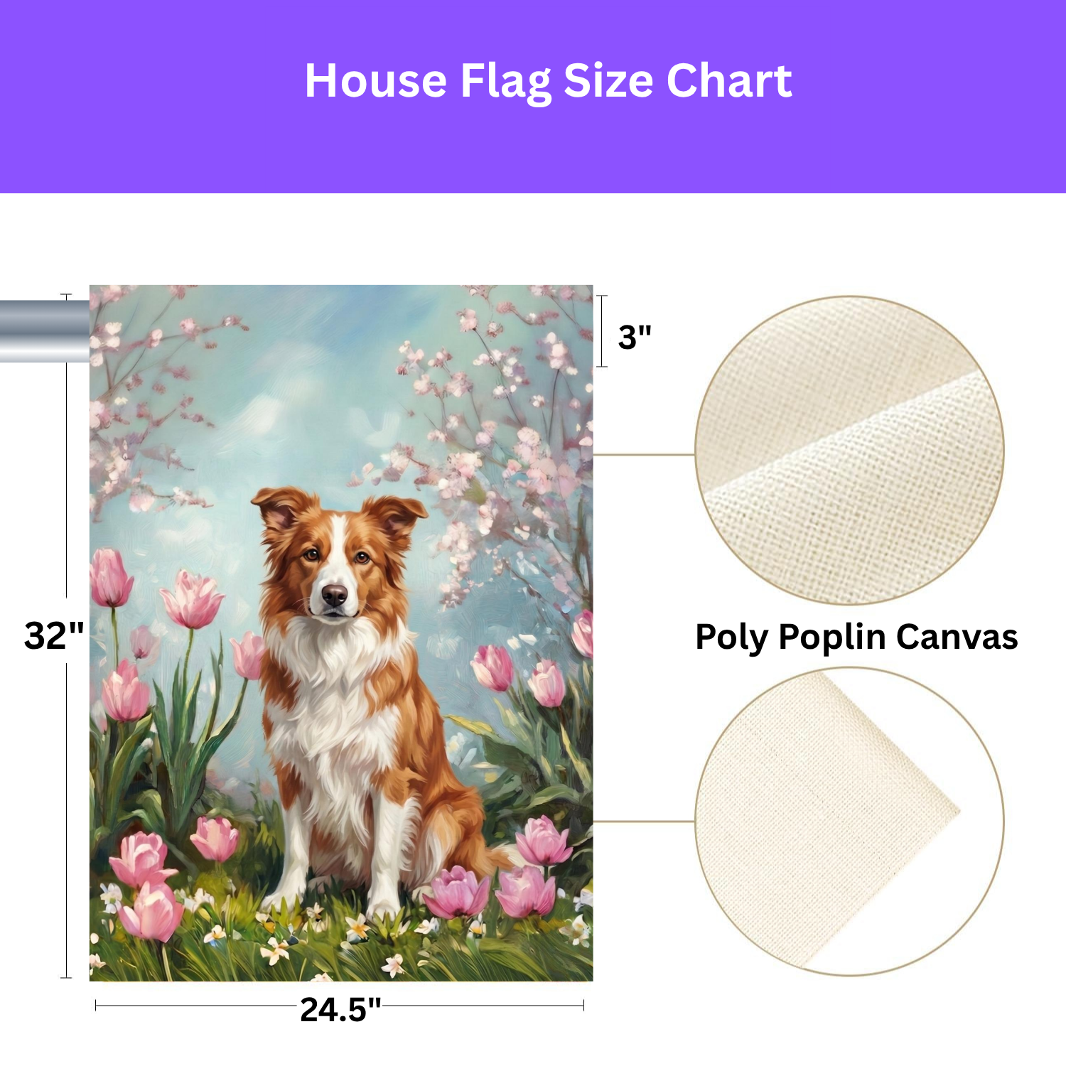 Red Border Collie in Tulips Garden Banner