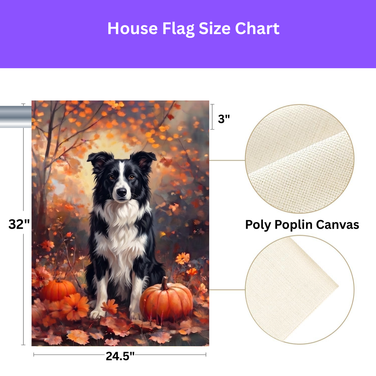 Fall Black and White Border Collie with Pumpkins Garden Flag