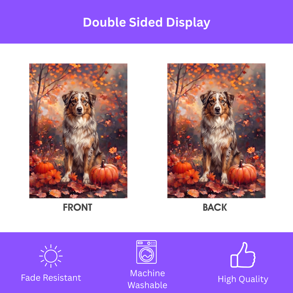 Fall  Australian Shepherd With Pumpkins Autumn Garden Flag
