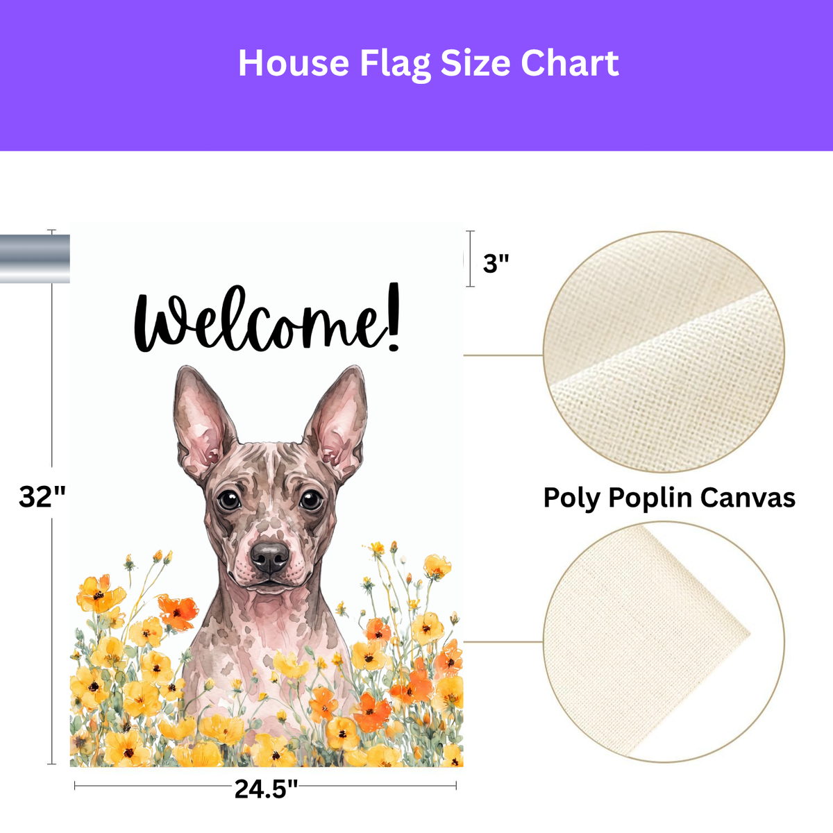 Yellow Poppies American Hairless Terrier Welcome Garden Flag