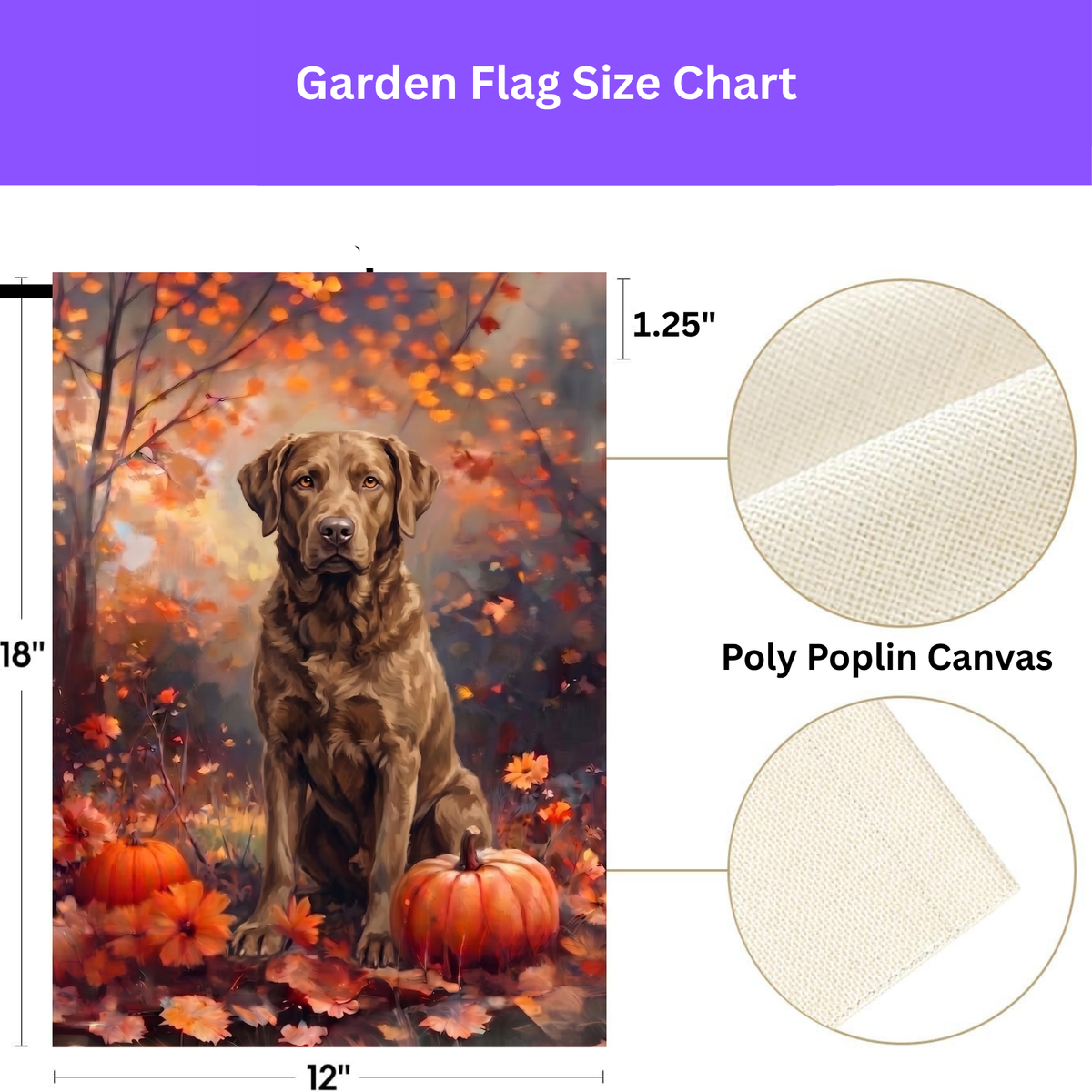 Fall Chesapeake Bay Retriever With Pumpkins Garden Flag