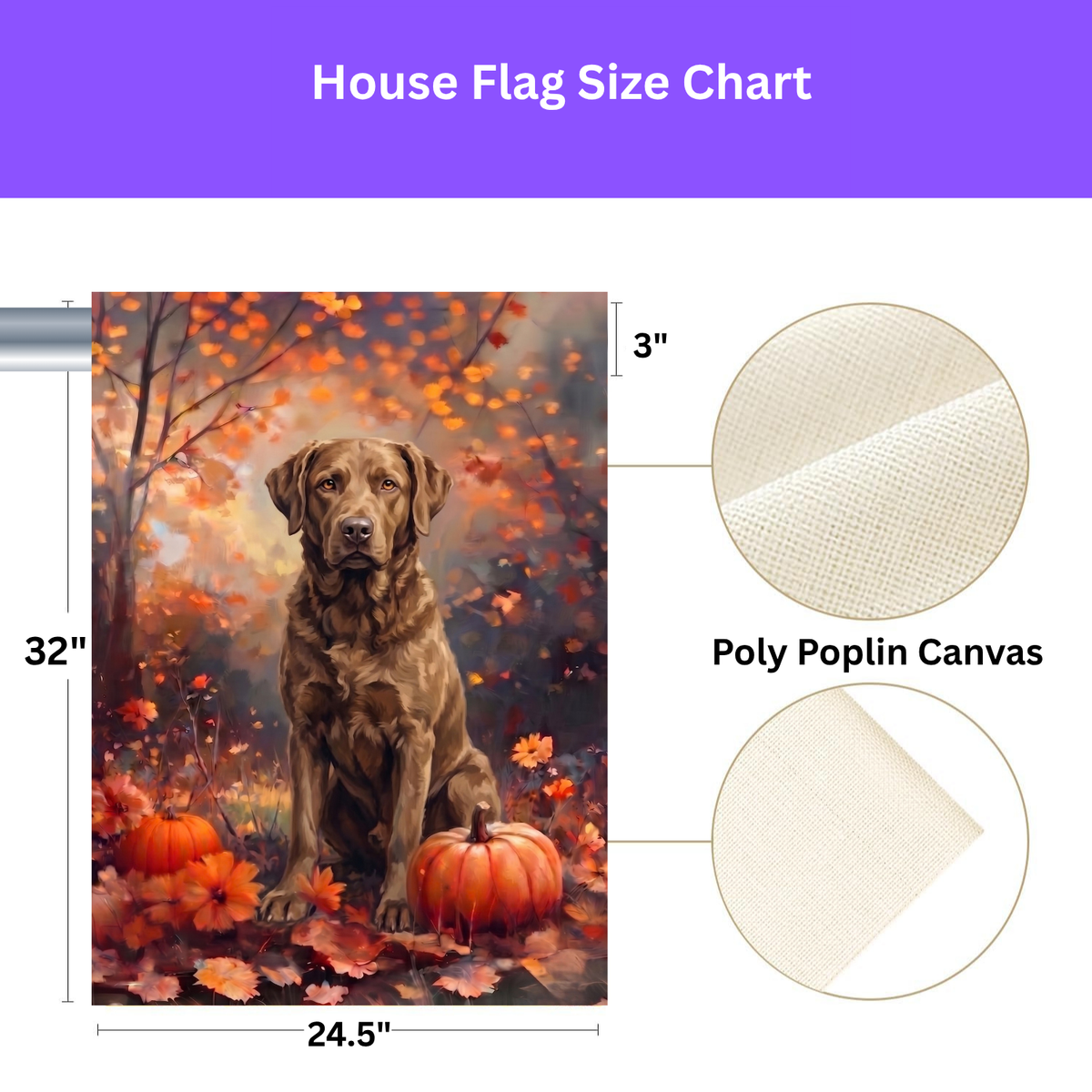 Fall Chesapeake Bay Retriever With Pumpkins Garden Flag