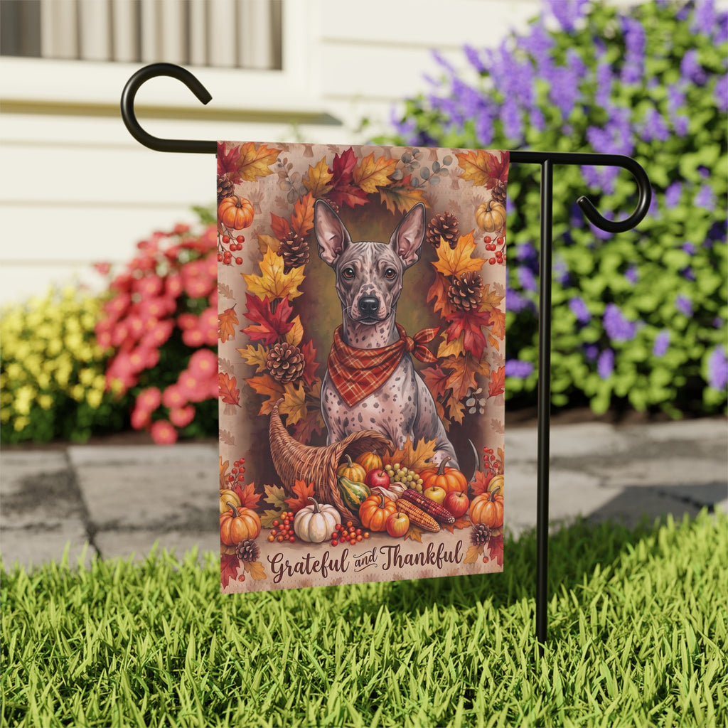 Grateful And Thankful American Hairless Terrier Thanksgiving Garden Flag