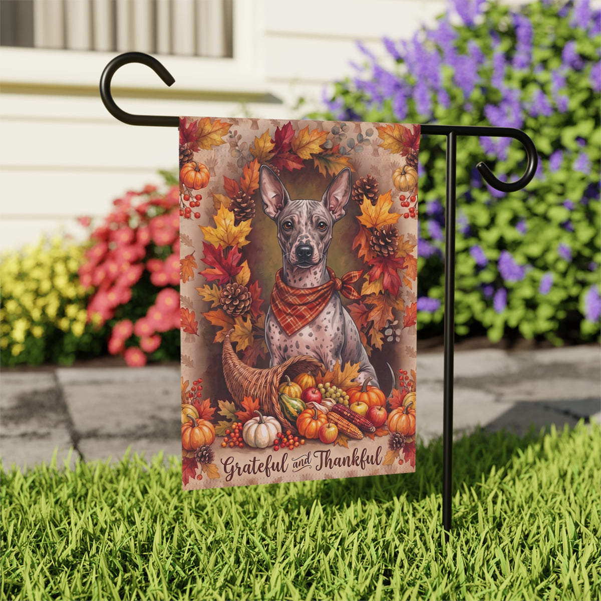Grateful And Thankful American Hairless Terrier Thanksgiving Garden Flag